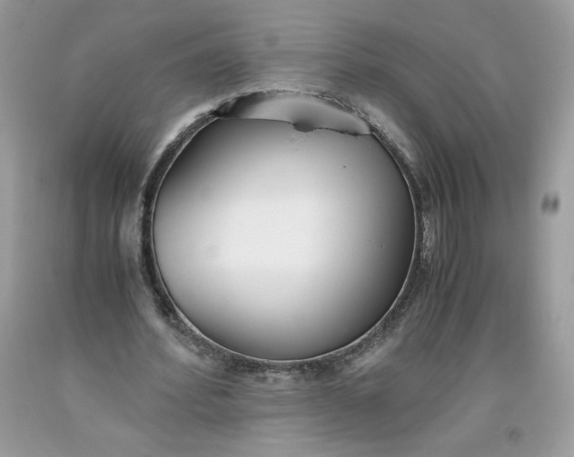 X0000093530580200710261253