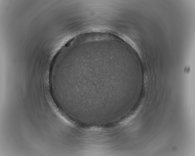 X0000093530581200710261253