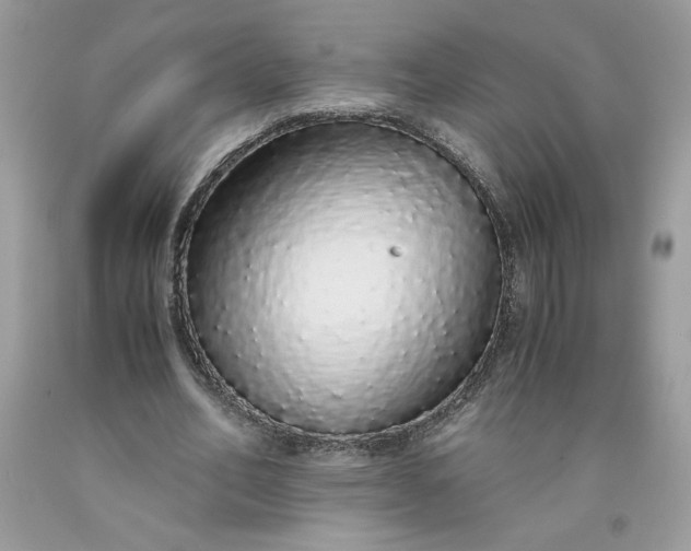 X0000093530582200710261253