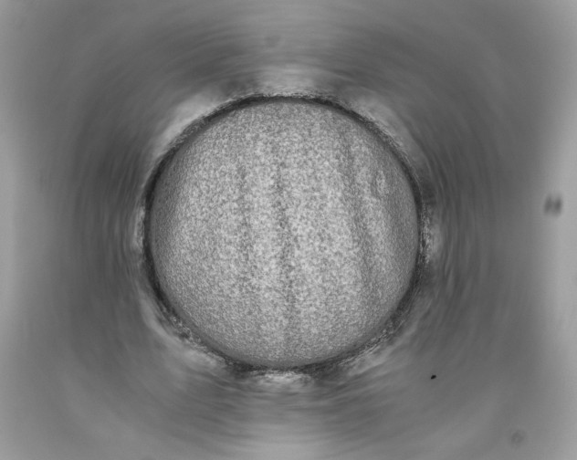 X0000093530583200710261253