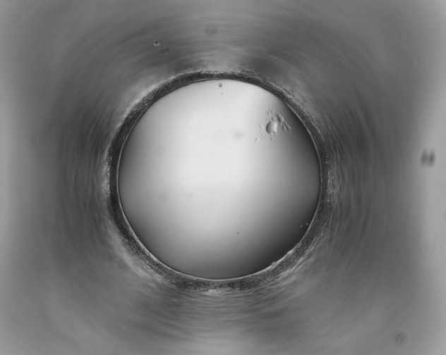 X0000093530584200710261253