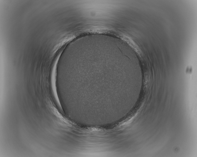 X0000093530585200710261253