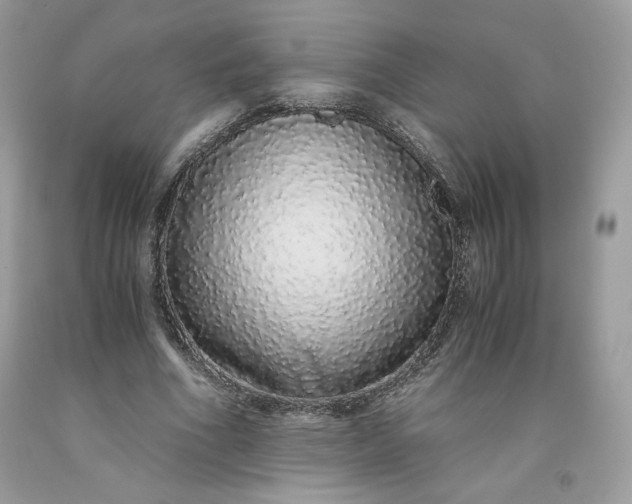 X0000093530586200710261253