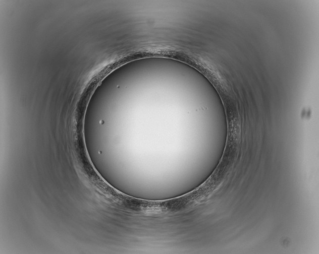 X0000093530587200710261253