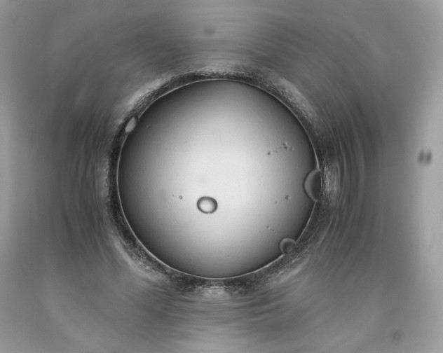 X0000093530588200710261253