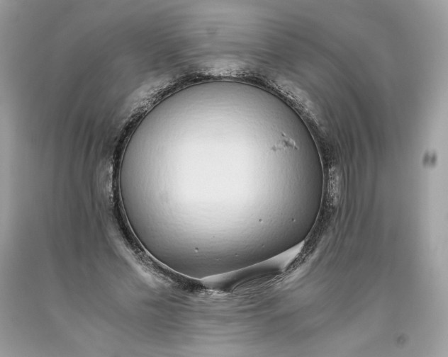 X0000093530589200710261253