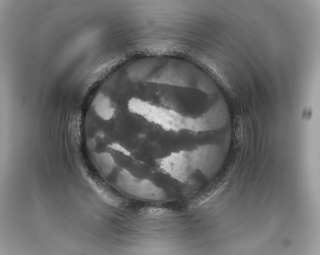 X0000093530590200710261253