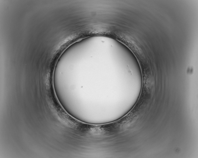 X0000093530591200710261253