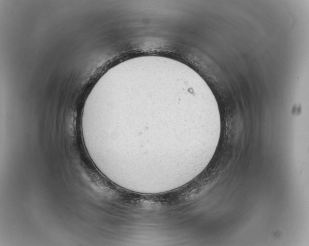 X0000093530592200710261253