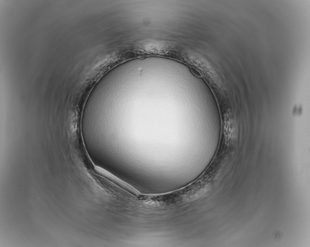 X0000093530593200710261253