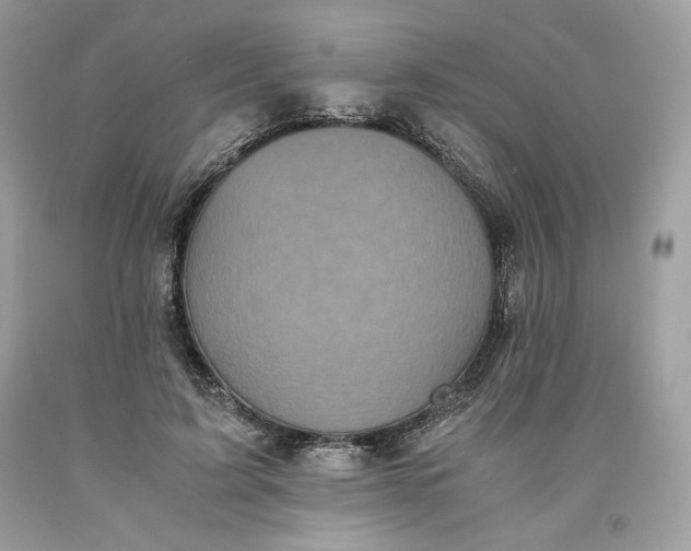 X0000093530595200710261253