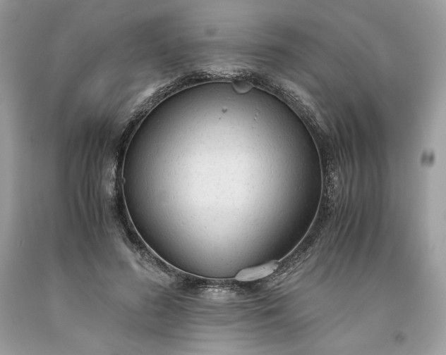 X0000093530596200710261253