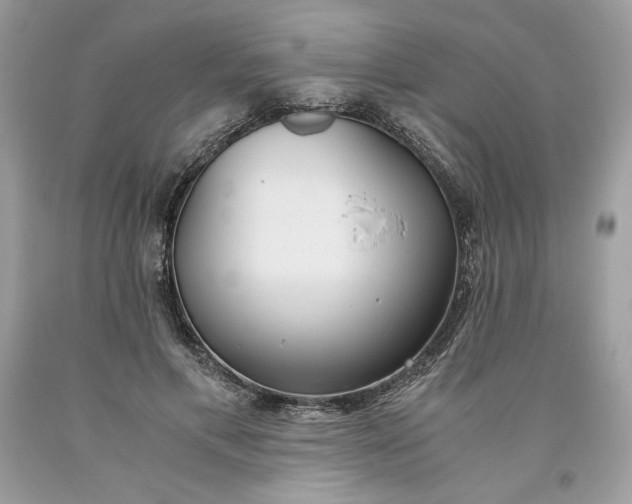 X0000093530597200710261253