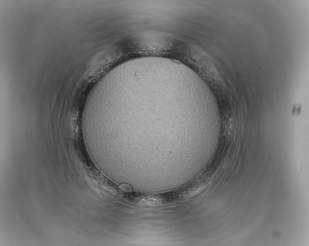 X0000093530599200710261253