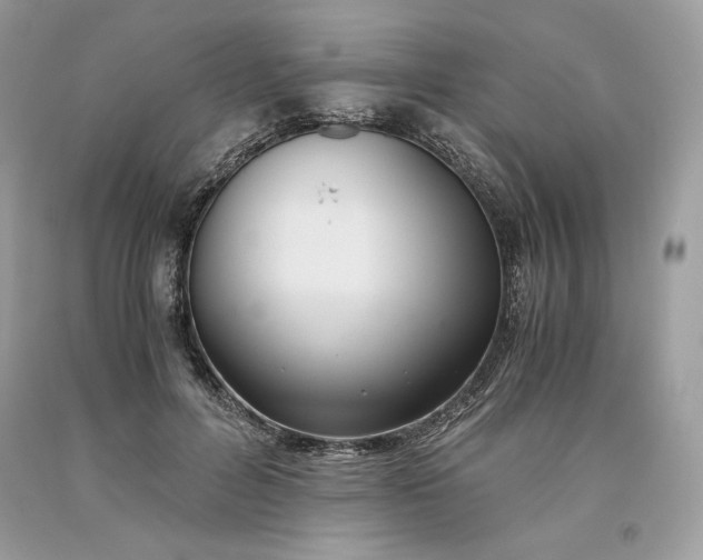 X0000093530600200710261253