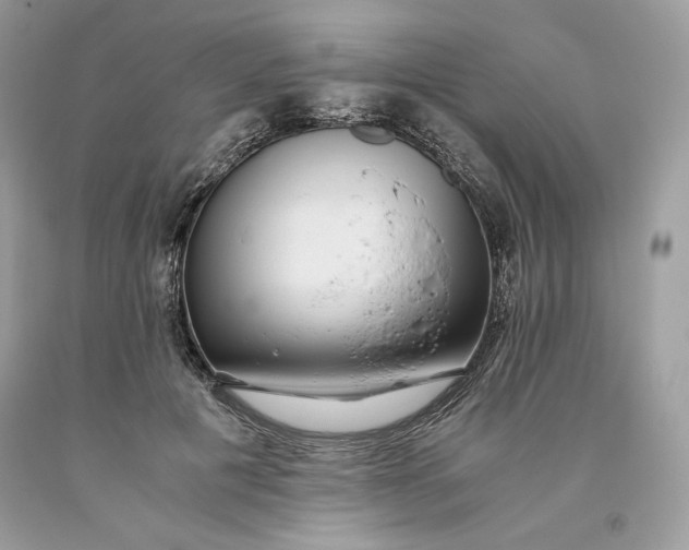 X0000093530601200710261253