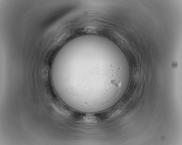 X0000093530603200710261253