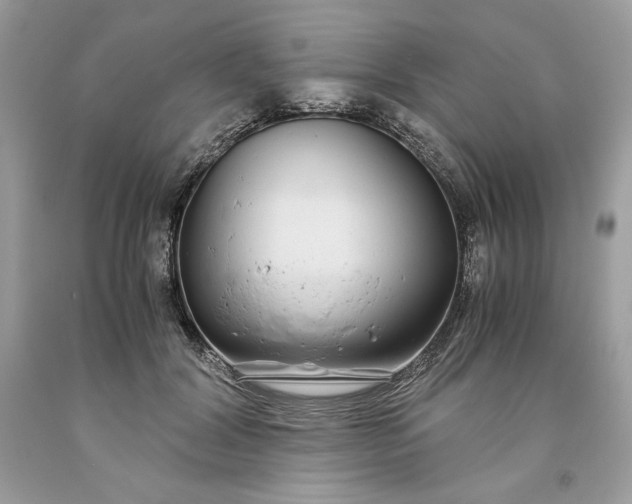 X0000093530604200710261253