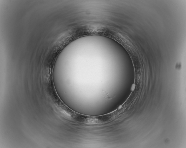 X0000093530605200710261253