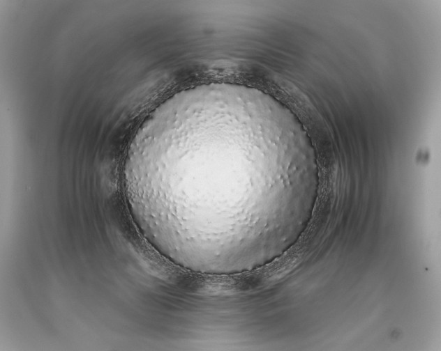 X0000093530606200710261253