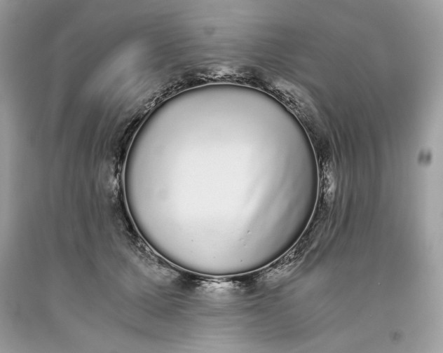 X0000093530607200710261253