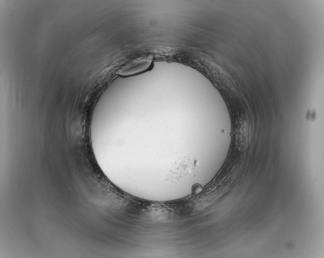 X0000093530608200710261253