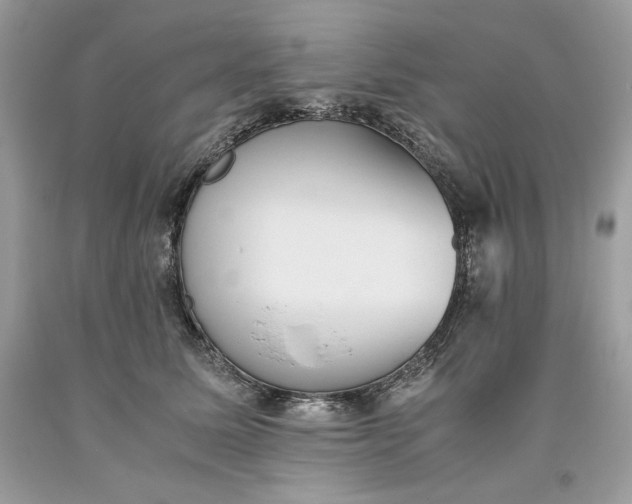 X0000093530611200710261253