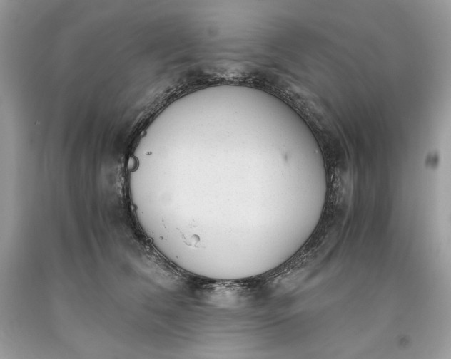 X0000093530612200710261253