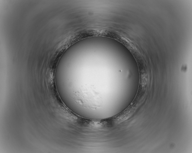 X0000093530613200710261253