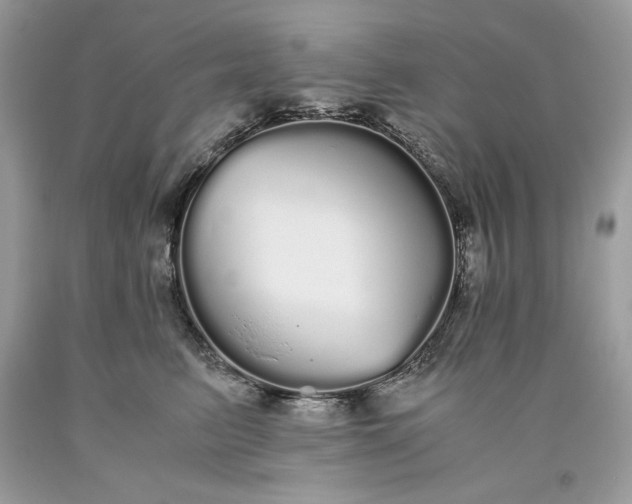 X0000093530615200710261253