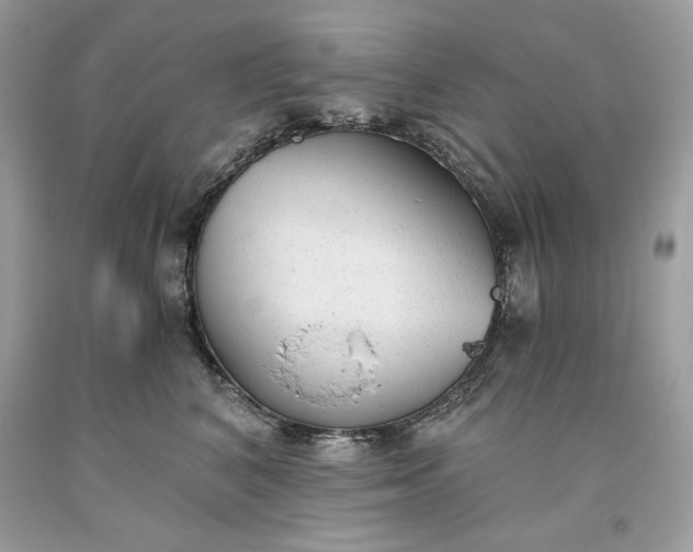 X0000093530616200710261253