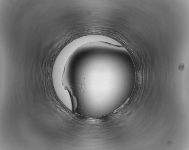 X0000093530617200710261253