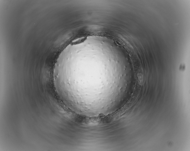 X0000093530618200710261253