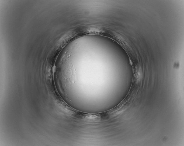 X0000093530619200710261253