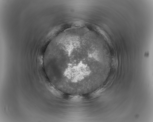 X0000093530621200710261253