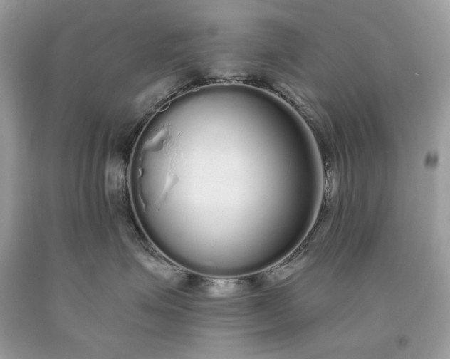 X0000093530623200710261253