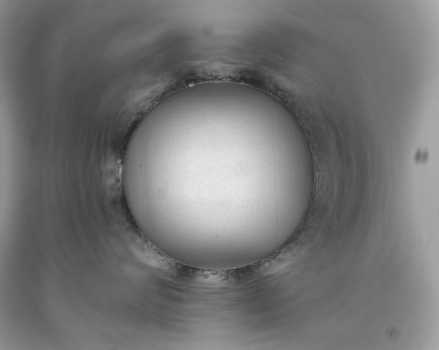 X0000093530624200710261253