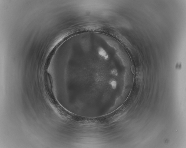 X0000093530626200710261252