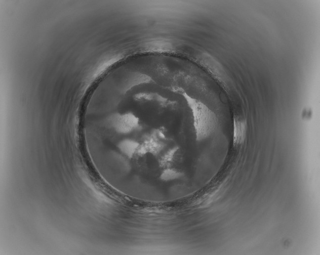 X0000093530627200710261252