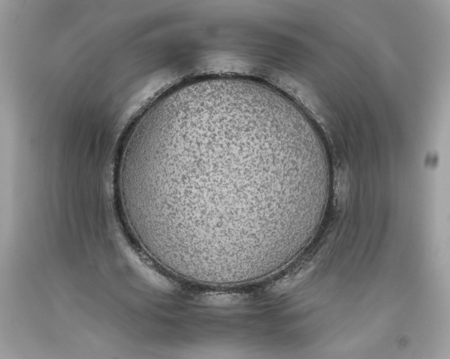 X0000093530629200710261252