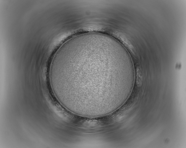 X0000093530631200710261252