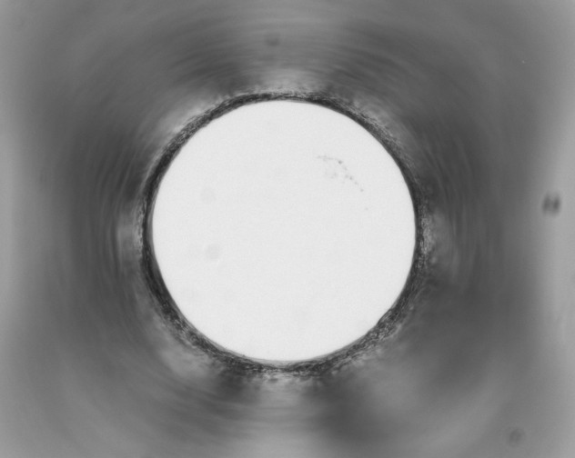 X0000093530632200710261252