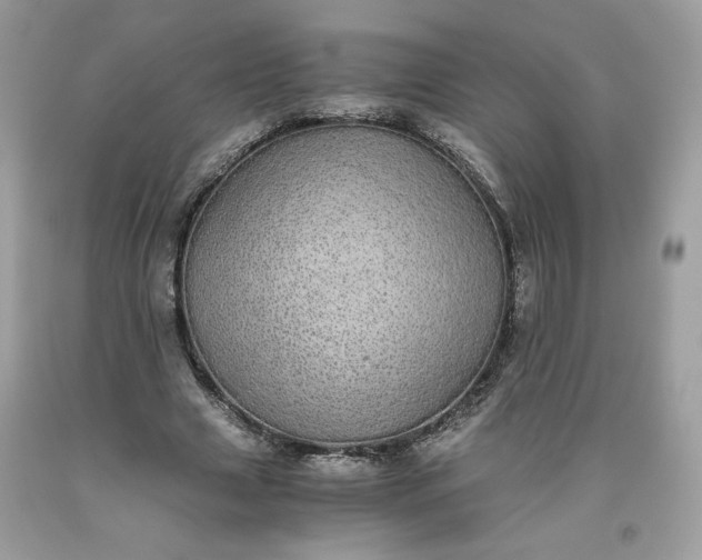 X0000093530633200710261252