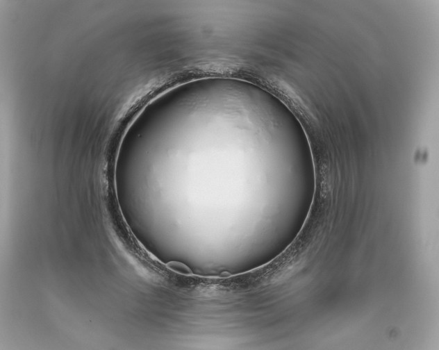 X0000093530634200710261252