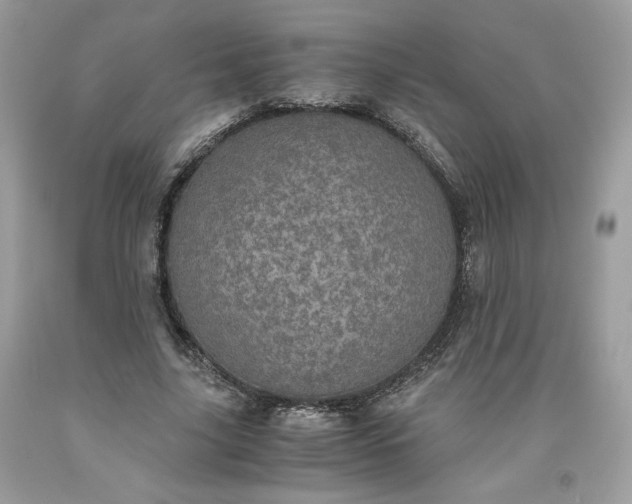 X0000093530635200710261252