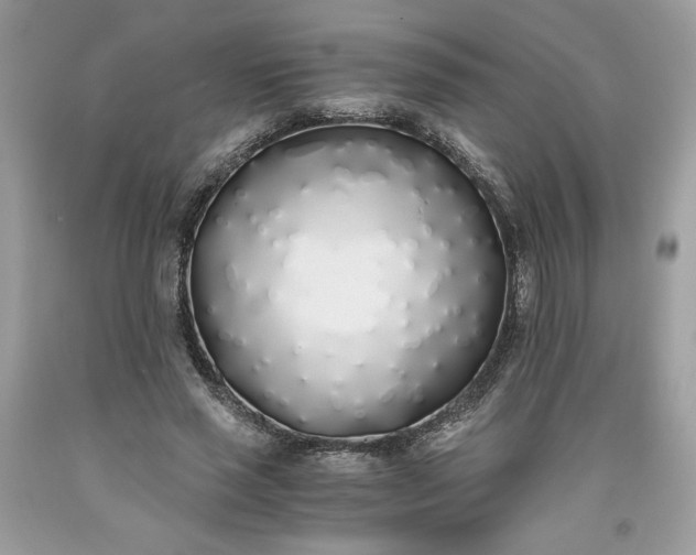 X0000093530637200710261252