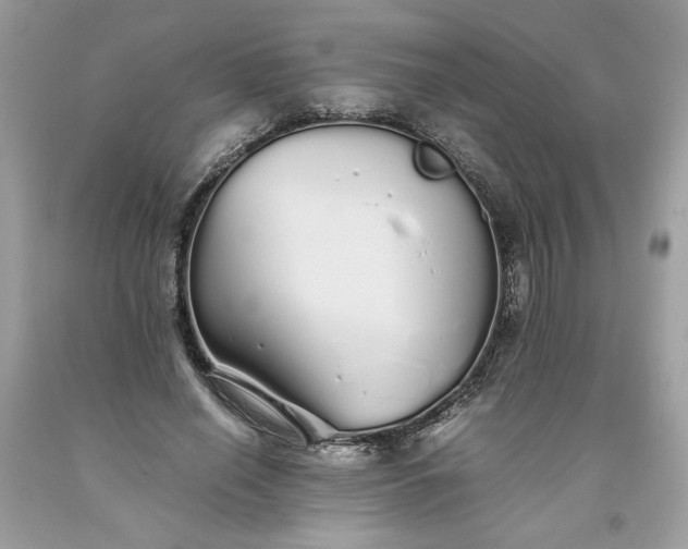 X0000093530638200710261252