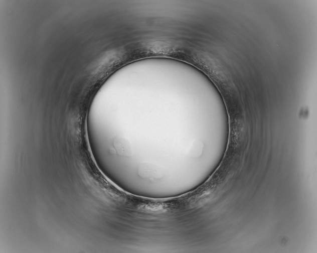 X0000093530639200710261252