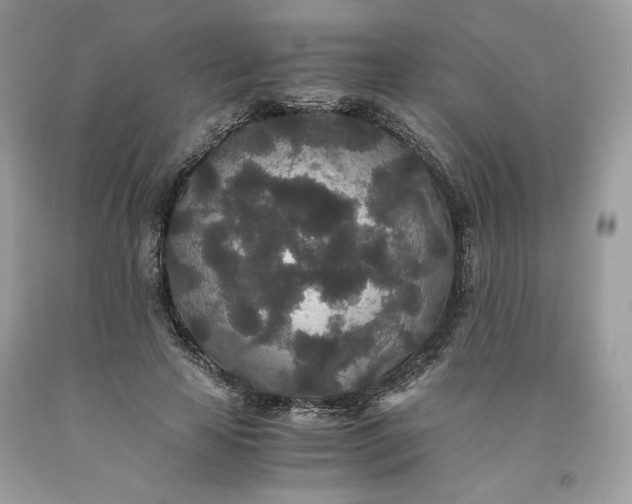 X0000093530641200710261252