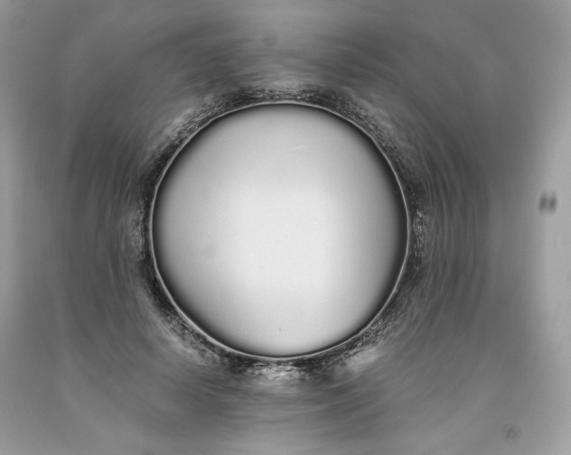 X0000093530642200710261252